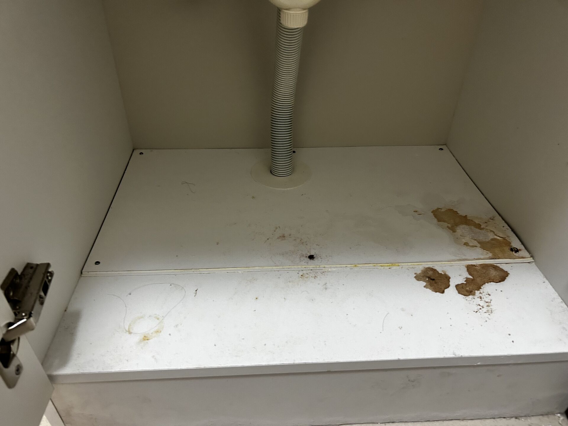 洗面台の収納棚補修